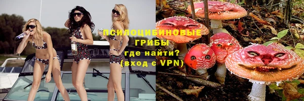 гидра Алзамай