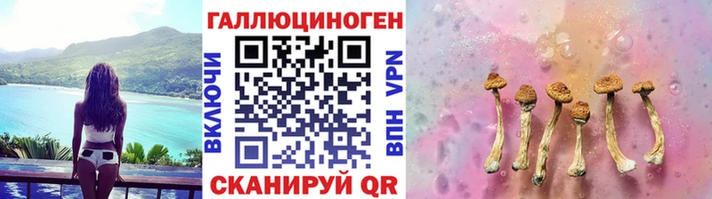 Галлюциногенные грибы Psilocybe  Анжеро-Судженск 