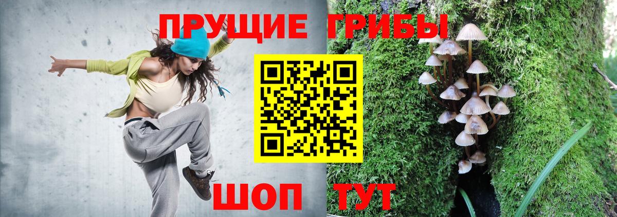 Псилоцибиновые грибы Psilocybe  Вход с VPN  Анжеро-Судженск 