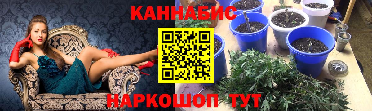 Бошки Шишки Ganja  Вход с VPN  Анжеро-Судженск  МАРИХУАНА планчик  Бошки марихуана тримм 